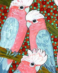 Greeting Card Single - Kathleen Buzzacot - Galahs
