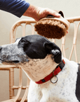 Pet Grooming Brush