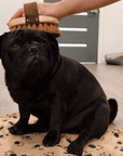 Pet Grooming Brush