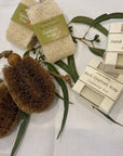 Gardener's Brush