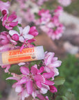 Organic Beeswax Lip Balm - Tangerine