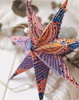 Indigenous Art Paper Star - Nora Davidson
