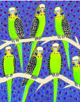 Greeting Card Single - Kathleen Buzzacot - Budgies