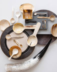 Long Handle Horn Condiment Spoon