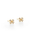 Mustard Flower Post Earrings - Gold + Stainless Steel