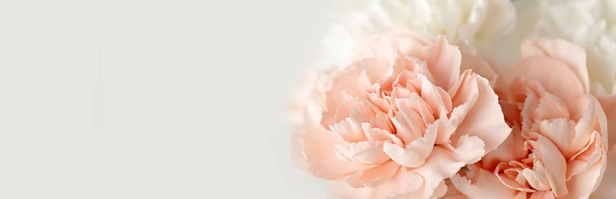 Slideshow Image 6