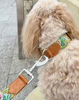 Dog Collar Indigenous Art Print Cedric Varcoe