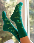 Socks That Give Books - Dinosaurs