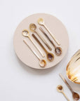 Long Handle Horn Condiment Spoon
