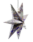 Indigenous Art Paper Star - Cedric Varcoe