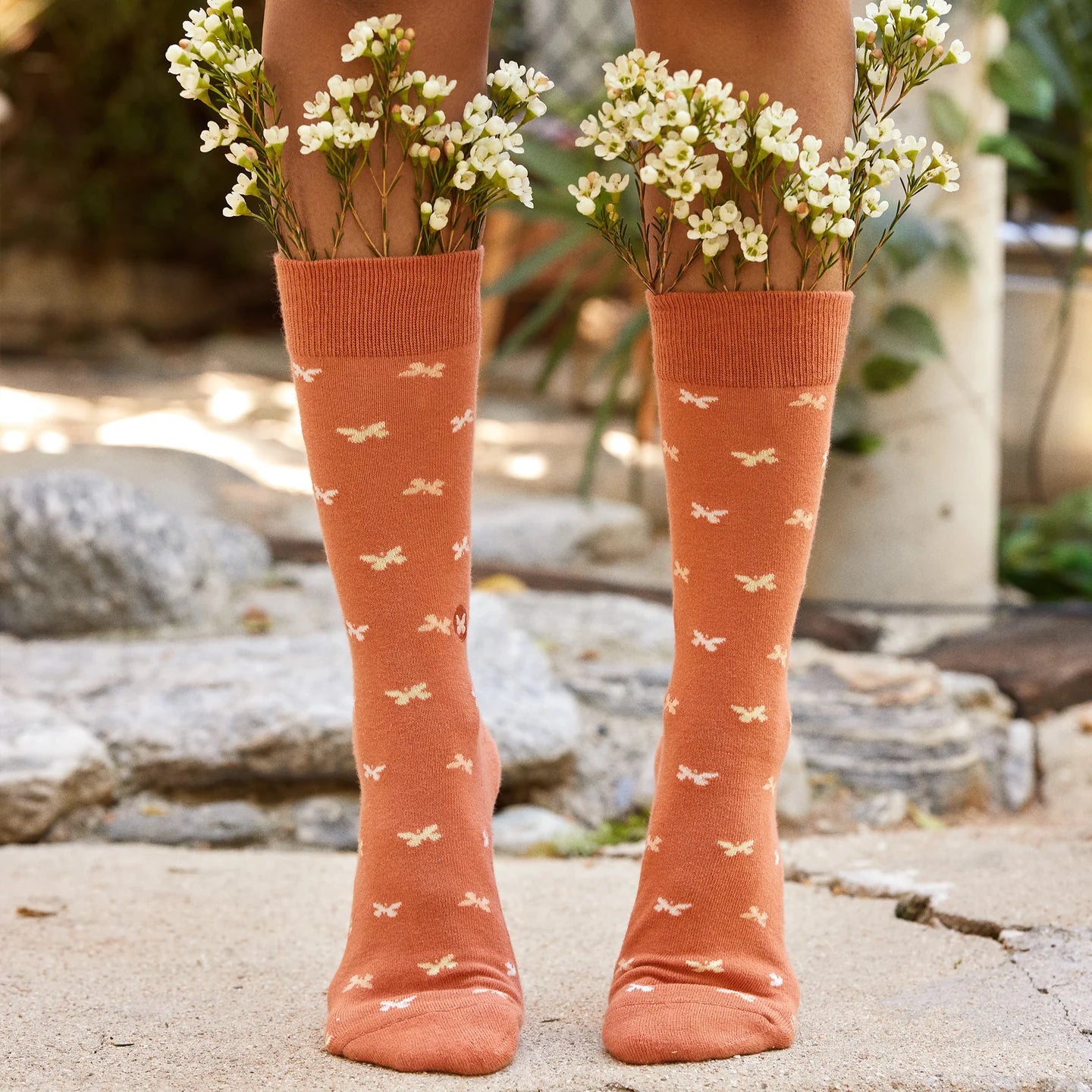 Socks to Stop Violence against Women Gift Box