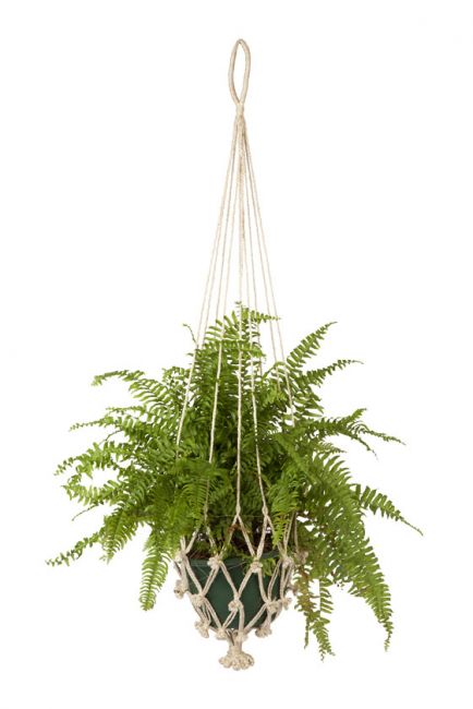 Vibhav Macrame Plant Hanger